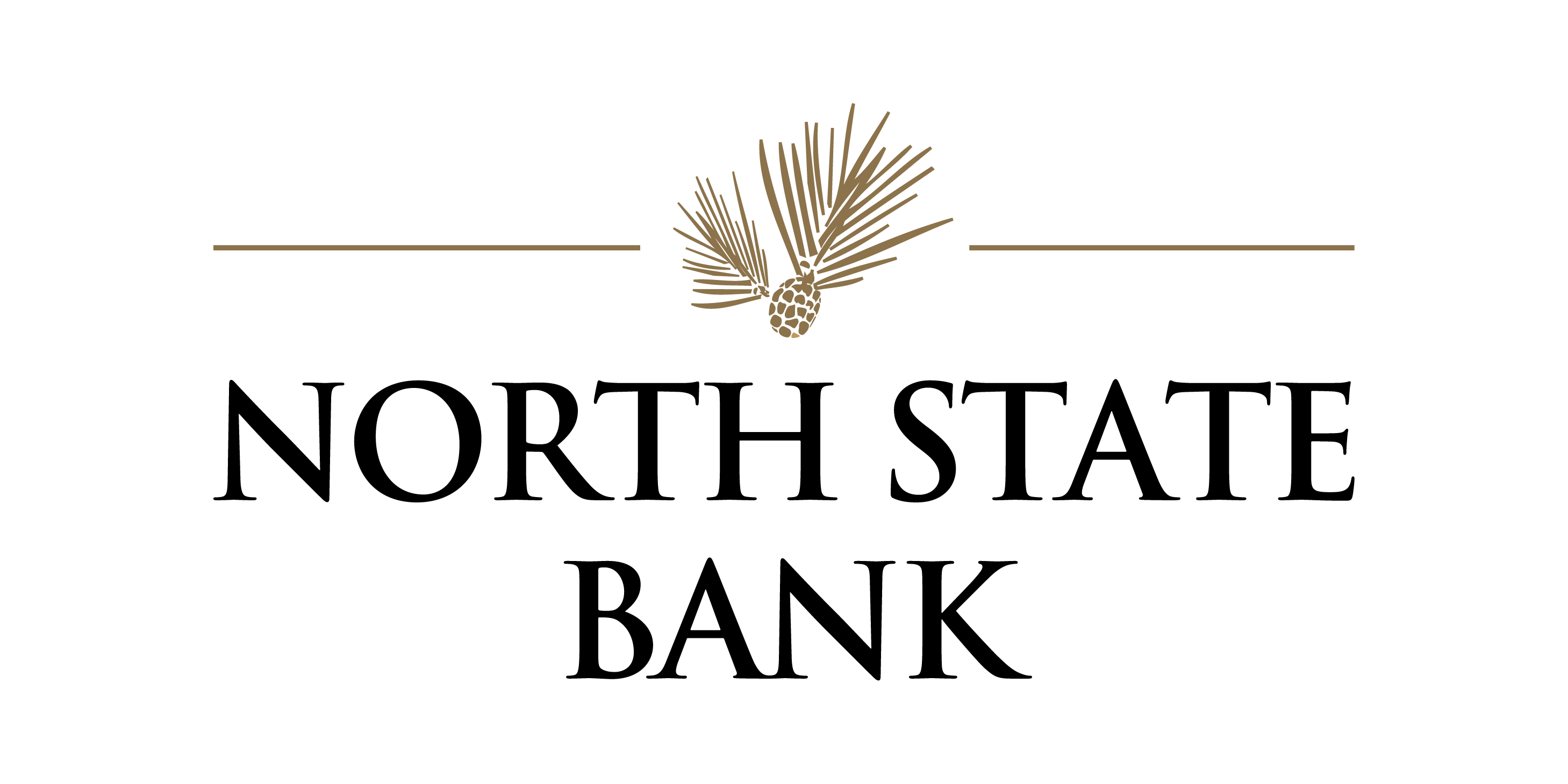 North State Bank Logo North State Bank Logo