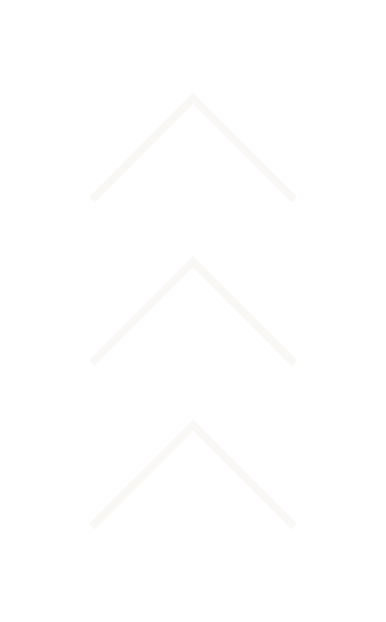 Wake Forest Area Chamber Design Arrow 1